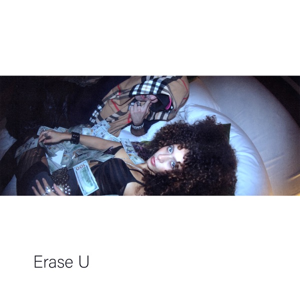 erase u cover art